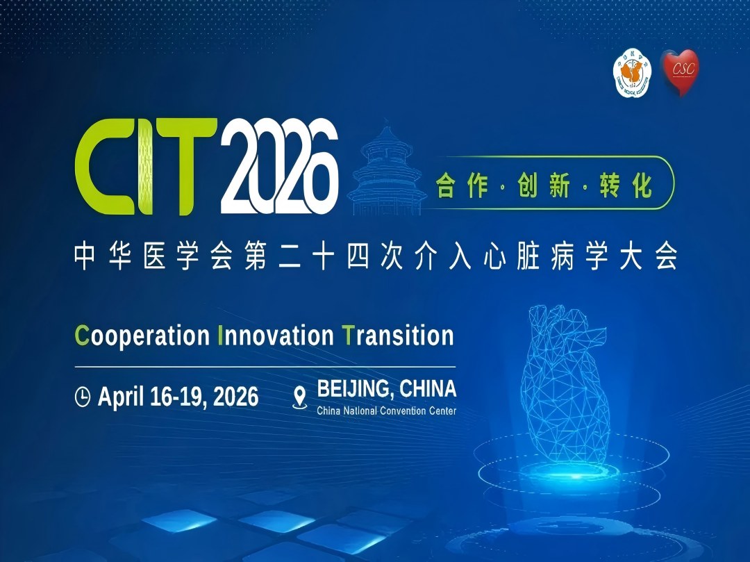 Vivolight beleuchtet die CIT 2026 mit internationalen Partnern